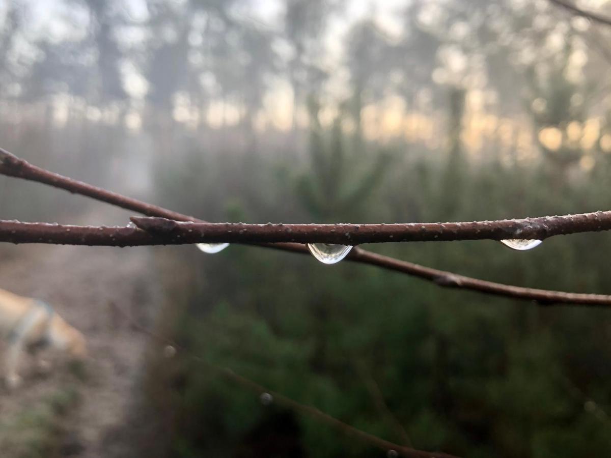 Het Natuurhuisje Op De Veluwe Nunspeet