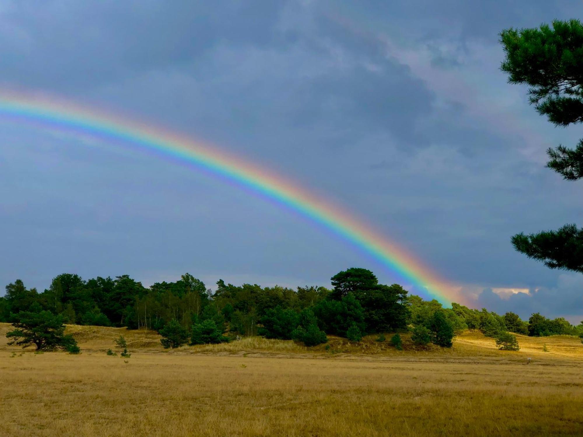 Het Natuurhuisje Op De Veluwe * Nunspeet